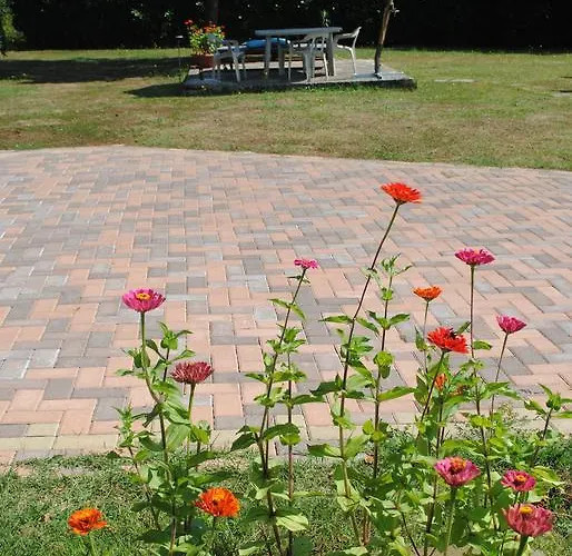 Kır Evi Al Castagneto